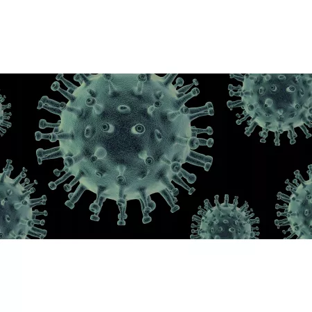 Preparat do dezynfekcji Medisept Velox Duo Wipes chusteczki dezynfekcja tea tonic